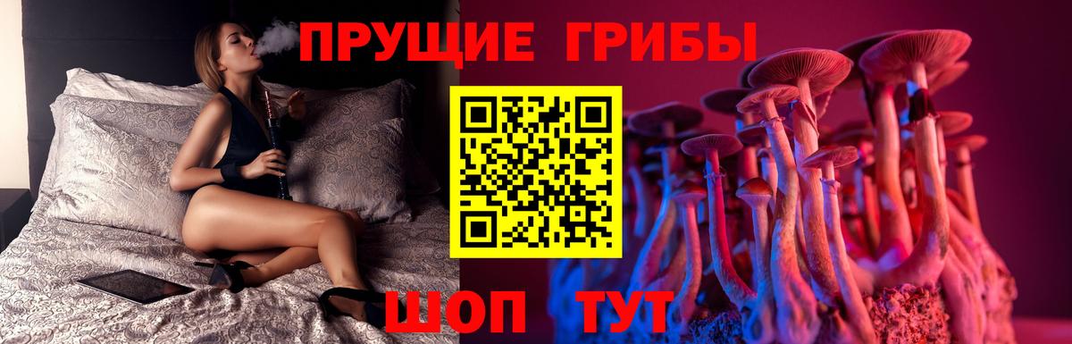 Галлюциногенные грибы мицелий  Галлюциногенные грибы мицелий  Вход с VPN  Псков 